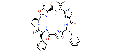 Lissoclinamide 6